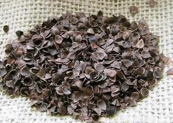 гречневая лузга в близи