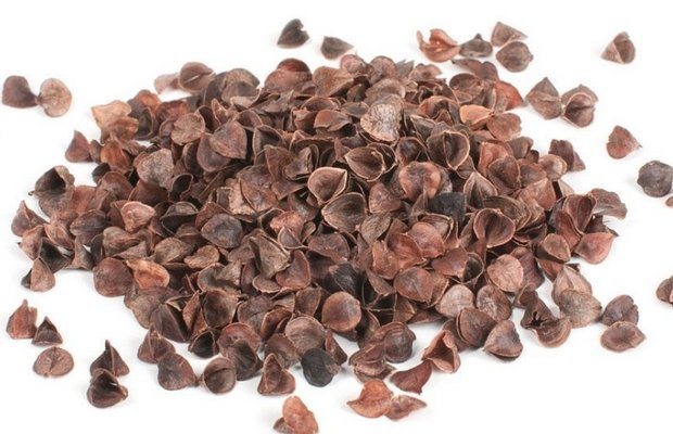 Гречневая лузга