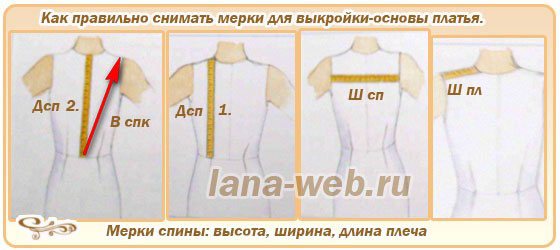 мерки спины для выкройки-основы