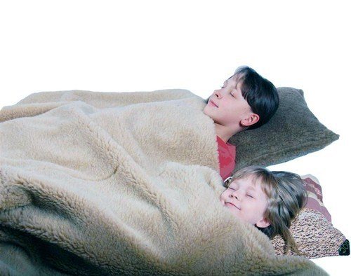 Терапевтический эффект шерсти.jpg